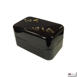 Bento LAPiNS rectangulaire noir 650ml