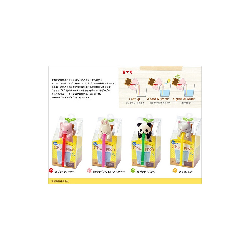 Chuppon ChAT (Menthe)