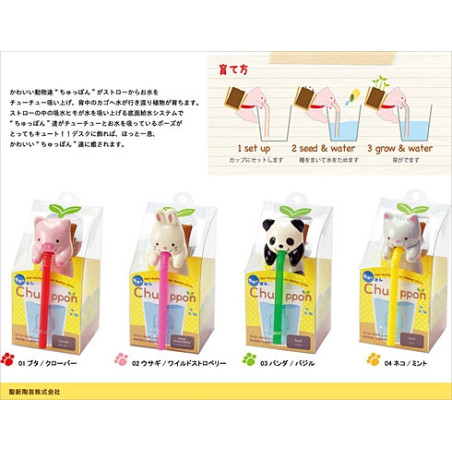 Chuppon ChAT (Menthe)