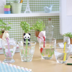 Chuppon LAPiN (Fraisier des bois)