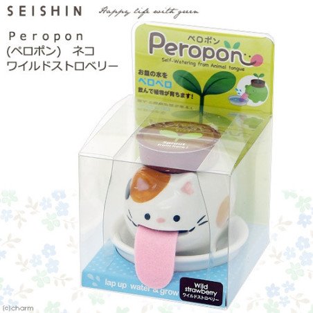 Peropon ChAT (Fraise des bois)