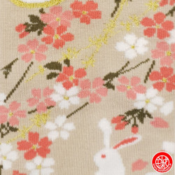 Tabi Socks (S) Socquettes à orteil japonaises LAPiN de NUiT beiges (T34 à 39 extensible)