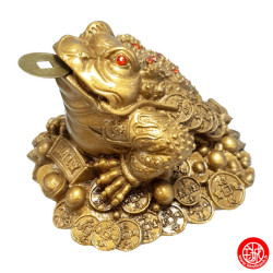 Jin Chan (crapaud de la richesse) sur pièces en résine doré (h7cm)