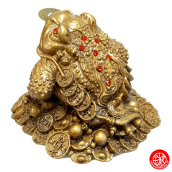 Jin Chan (crapaud de la richesse) sur pièces en résine doré (h7cm)
