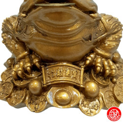 Jin Chan (crapaud de la richesse) sur pièces en résine doré (h7cm)