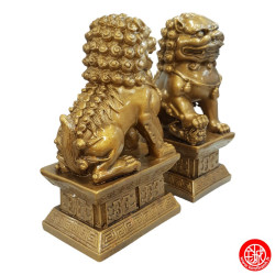 Chiens de Foo (Protection) sur socle en résine doré (h16.5cm)