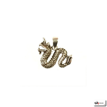 Pendentif DRAGON en argent 925 (h2cm)