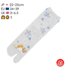 Tabi Socks (S) Chaussettes à orteil japonaises ChAT MANEKi ASSiS Bleu clair (extensible t34 à t39)