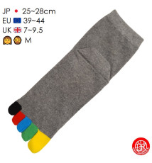 Chaussettes à 5 doigts japonaises (M) ARC en CiEL grises (extensible t40 à 44)