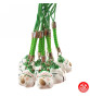 Strap grelot MANEKi NEKO Blanc et Vert (Travail) 2cm