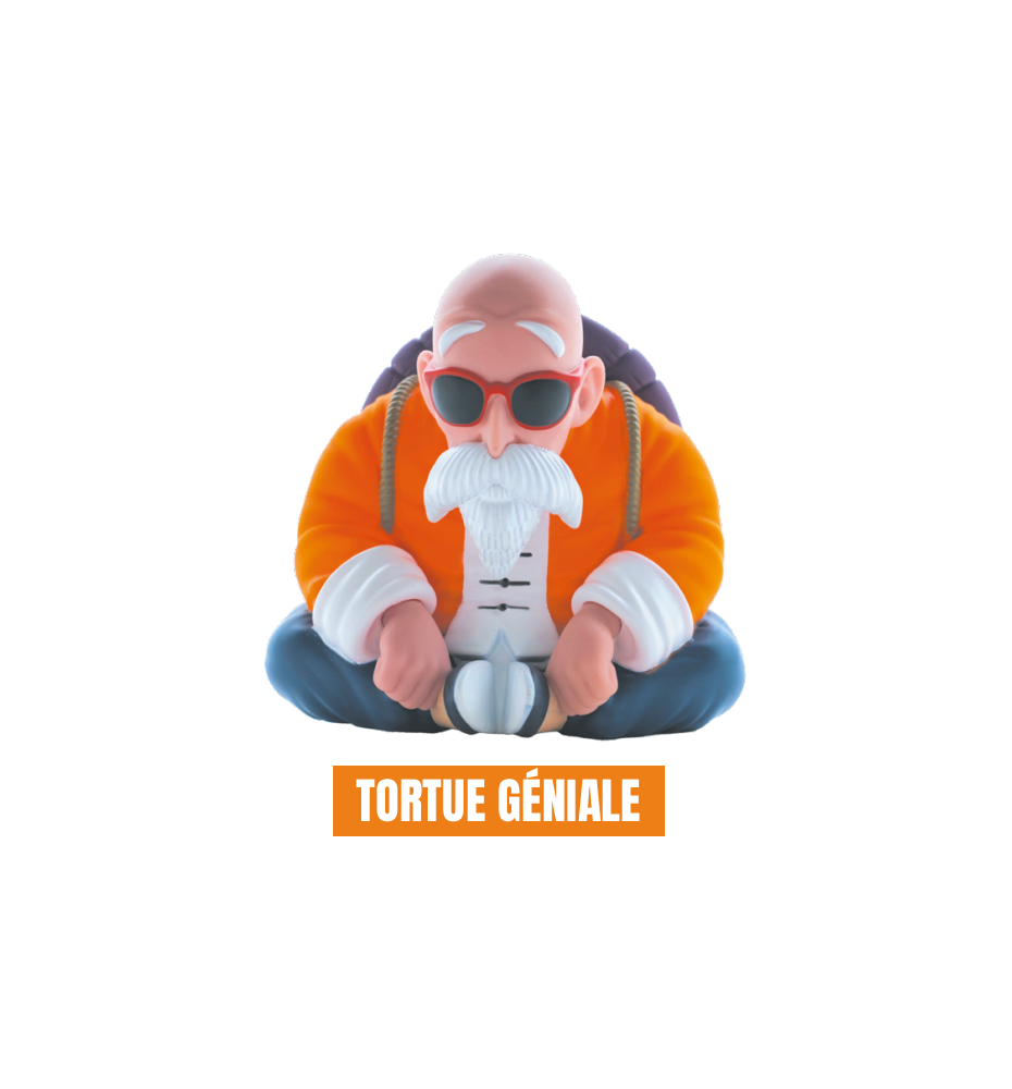 Figurine Tirelire Dragon Ball TORTUE GéNiALE (h12cm)