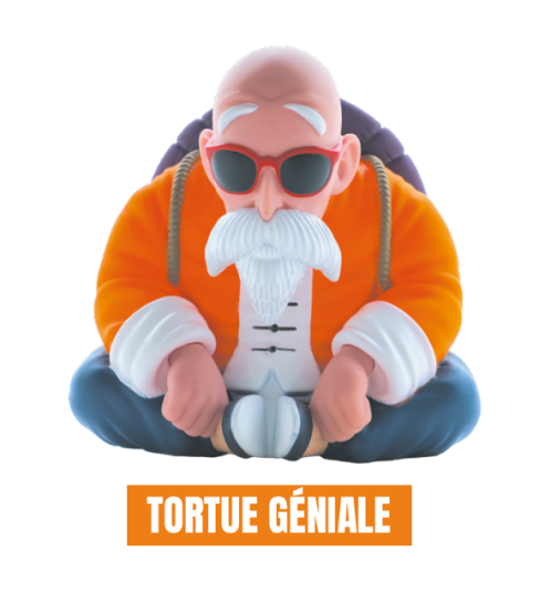 Figurine Tirelire Dragon Ball TORTUE GéNiALE (h12cm)