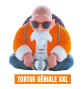 Figurine Tirelire Dragon Ball TORTUE GéNiALE (h30cm)