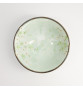 Bol à soupe ramen en porcelaine japonaise vert pâle SAKURA blanc et vert en demi-relief (d20cm)